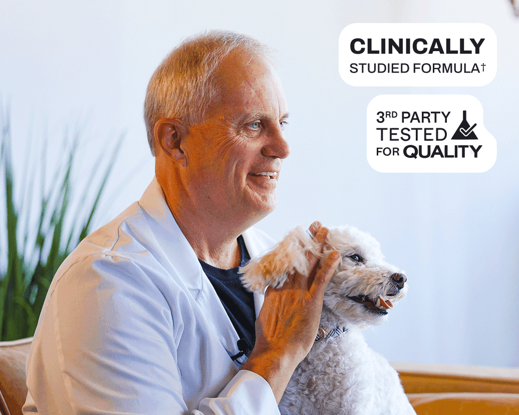 World’s 1st clinically studied probiotic soft chew for dogs