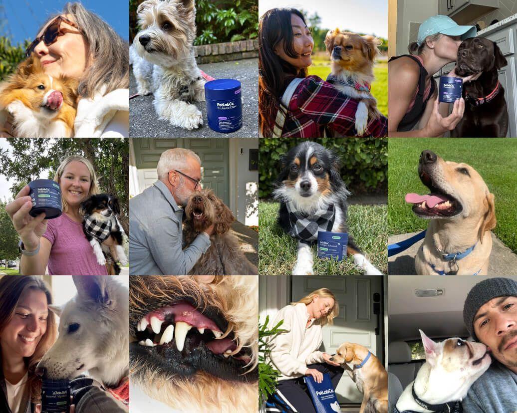 Over 2 million dogs can’t be wrong.